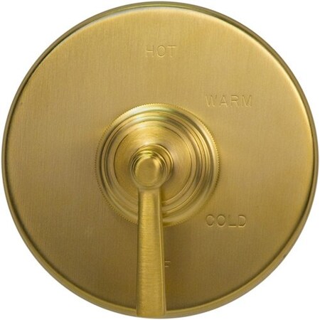 NEWPORT BRASS Bp Cover Plate For Shower in Satin Brass (Pvd) 2-225/04